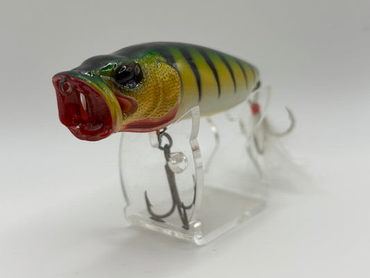KO Megabass Popmax Iridescent Perch