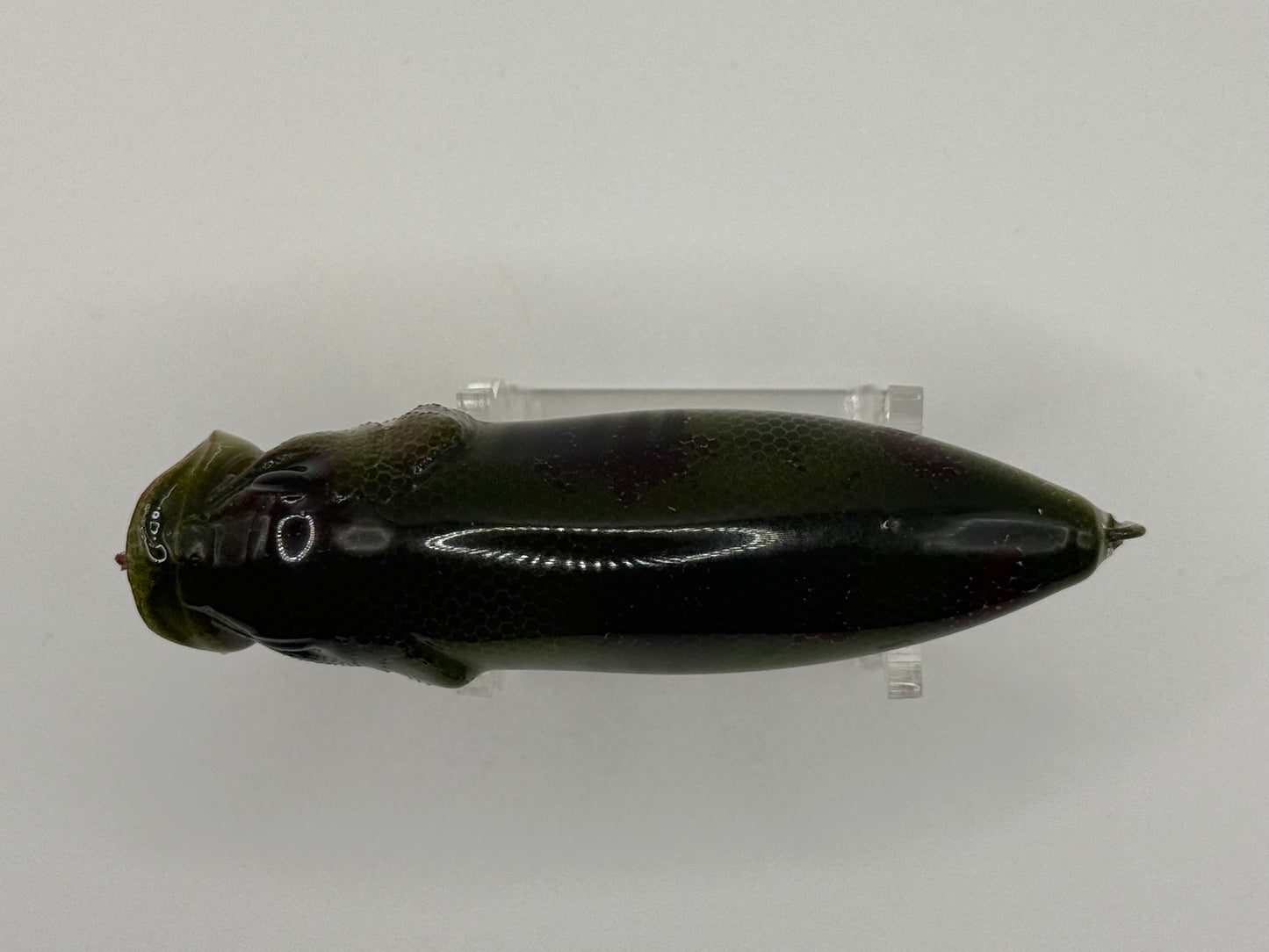 KO Megabass Popmax Dead Gizzard