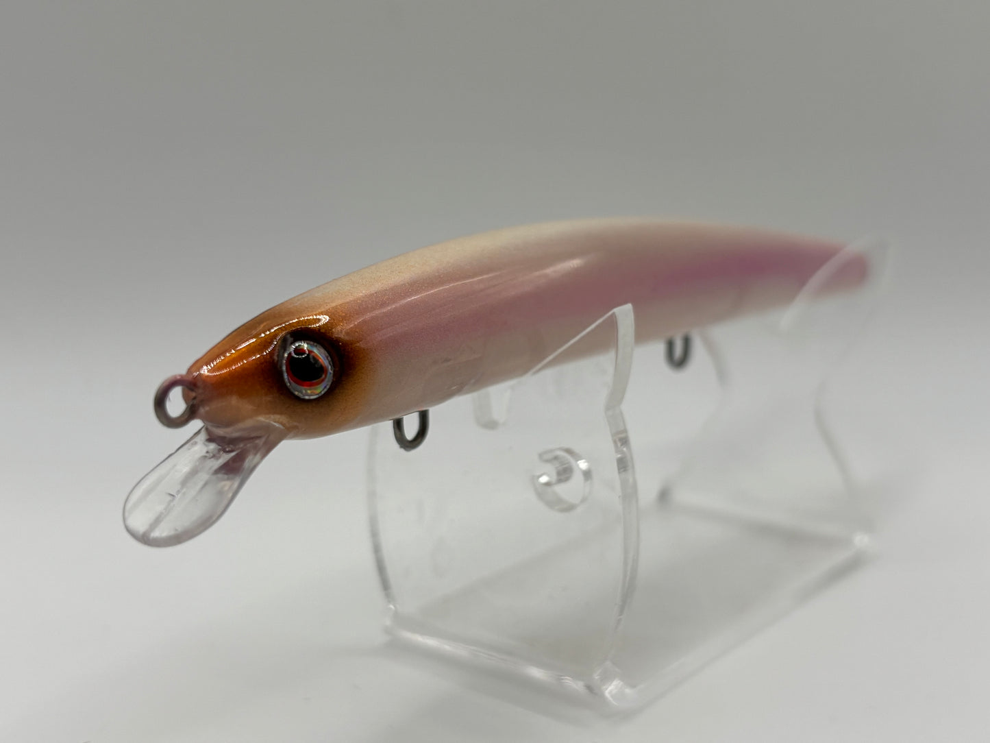 Max Rap Minnow Holo Cisco