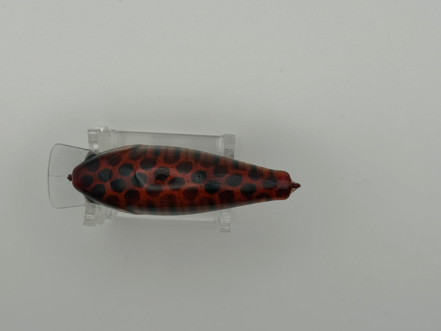1.5 Squarebill Crank Northland Tiger