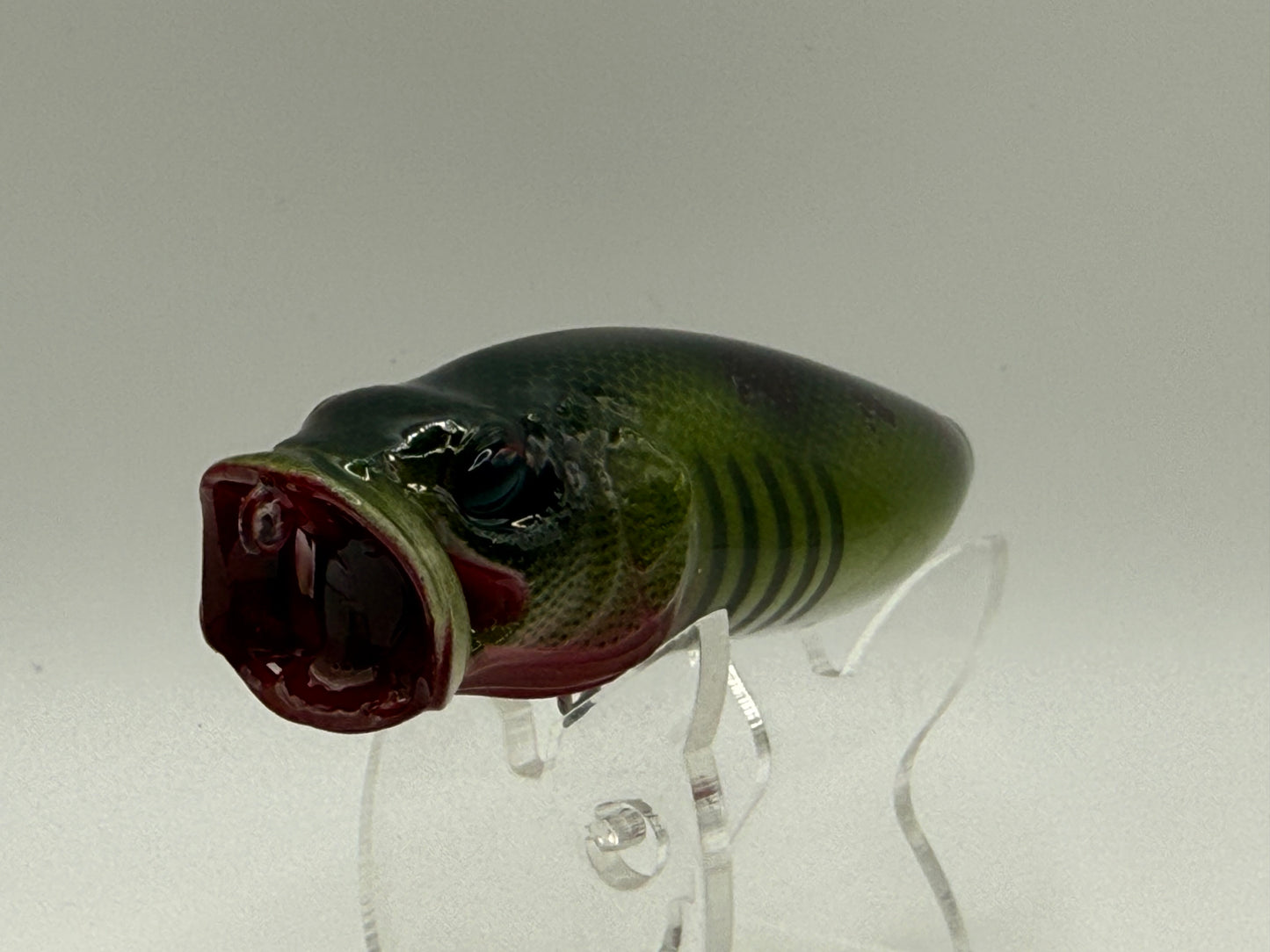 KO Megabass Popmax Dead Gizzard