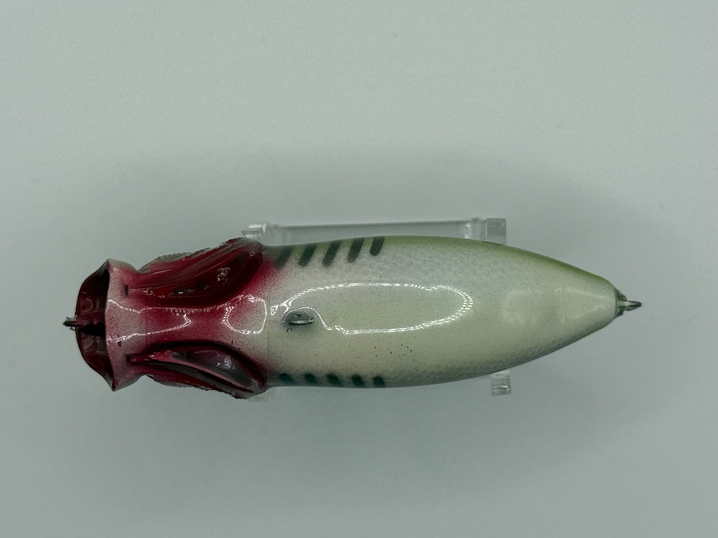 KO Megabass Popmax Dead Gizzard