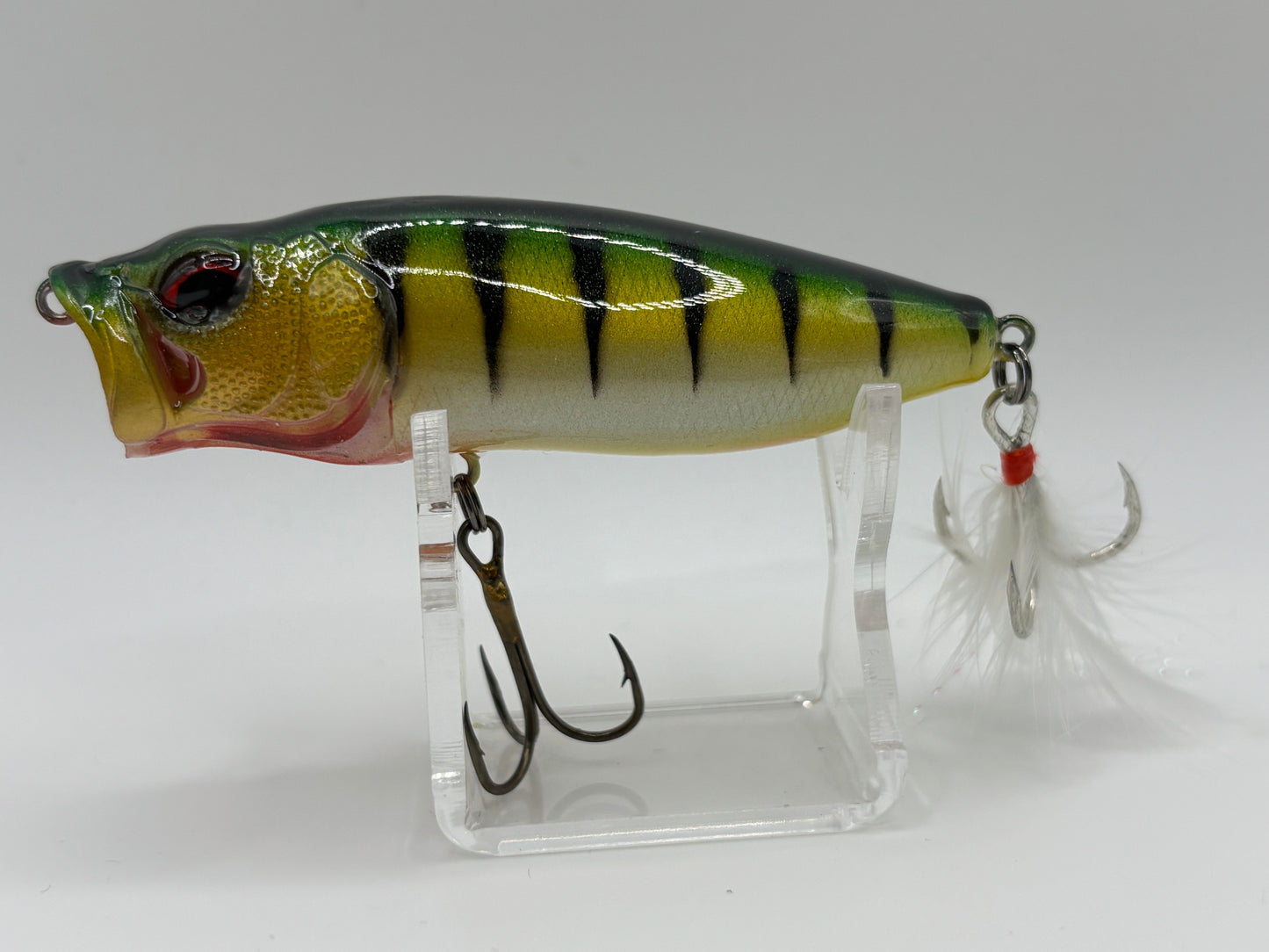 KO Megabass Popmax Iridescent Perch