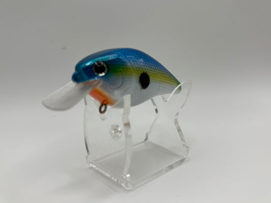 1.5 Square Bill Crank Sexy Shad