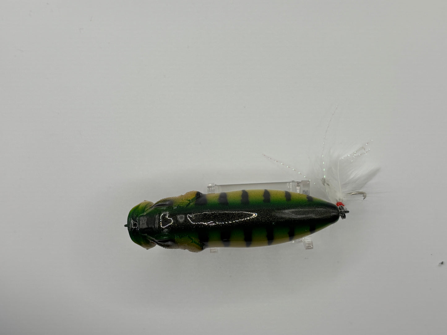 KO Megabass Popmax Iridescent Perch