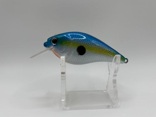 1.5 Square Bill Crank Sexy Shad